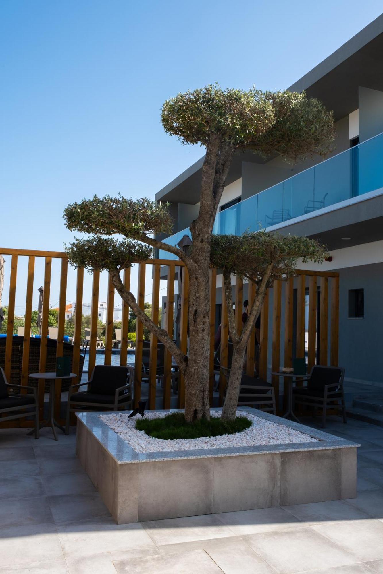 Ria Formosa Guest House ฟารู ภายนอก รูปภาพ